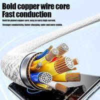 Kabel Data 3 in 1 Pengisian Cepat 100W USB a ke Type C Micro USB Kabel Data Kepang untuk iPhone Inti Tembaga Grosir