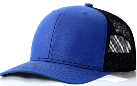 Bleu-noir