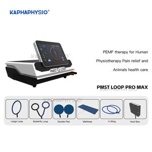 Nouvelle mise à niveau Interface Physio Magneto PEMF Thérapie pour la douleur PMST LOOP Pro Max Machine de thérapie magnétique Machine de thérapie par le cheval - Product Image 3