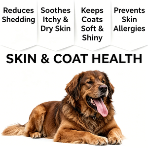 Offre Spéciale : Complément Avancé Oméga 3 pour Chiens – Peau et Pelage Sains avec EPA et DHA pour Apaiser les Démangeaisons et la Peau Sèche, et Favoriser une Fourrure Brillante - Product Image 4
