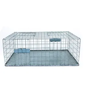 Foldable Galvanised Pigeon Bird Trap Cage Feral Pigeon Trap