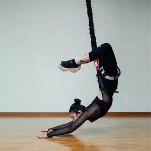 Khối Lượng Nhỏ Được Thiết Kế Đặc Biệt Dây Nhảy Bungee Yoga - Product Image 1