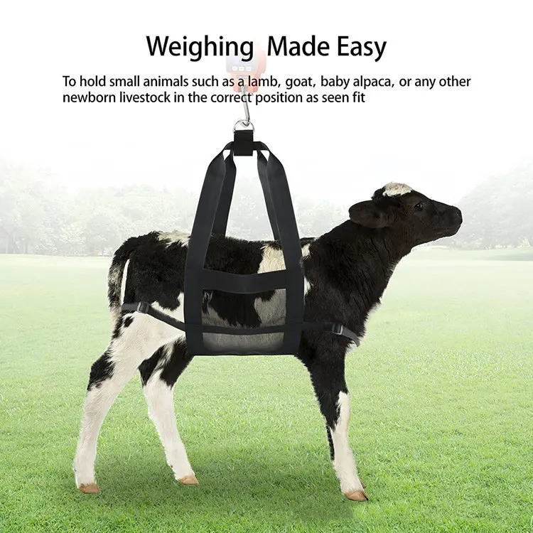 Durable Calf Weighing Sling Small Animal Weighing Sling for Lamb Goat Dog Calf