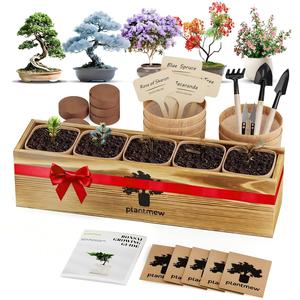 Kit <span class=keywords><strong>de</strong></span> Bonsaï d'Intérieur pour Débutants - 5 Graines Japonaises Uniques, Outils Complets <span class=keywords><strong>de</strong></span> Démarrage pour le Jardinage DIY |   Saint-Valentin/Fête des Mères - Product Image 1