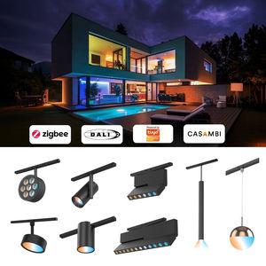 <span class=keywords><strong>Rail</strong></span> lumineux magnétique de haute qualité 10 mm, spots LED sur <span class=keywords><strong>rail</strong></span> réglables Tuya RGBW, éclairage sur <span class=keywords><strong>rail</strong></span> moderne à intensité variable pour salon - Product Image 3