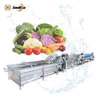 Fruit- en groentewasmachine met bubbels, fruit- en groentesproeier, fruitwasmachine met bubbels