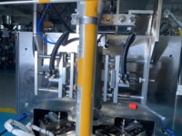 Machine d'emballage verticale directe usine pour sachets de fruits secs (raisins secs) avec système de convoyage à godets - Équipement d'emballage en sachet