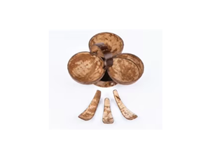 Handcrafted Coconut Shell <b>Serving</b> <b>Spoon</b> Set Natural Eco Friendly Wooden Utensils for Condiments Spices Desserts Snacks - Product Image 3
