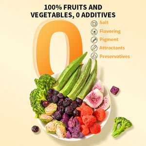 N4P Formula sayuran dan buah campuran makanan kucing dan anjing beku kering 100% bahan alami makanan ringan hewan peliharaan - Product Image 4