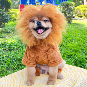 Costume de cosplay pour chien, chat, lion, vêtements chauds pour animaux de compagnie, tenue de transformation toutes saisons pour petits, moyens et grands chiens - Product Image 5