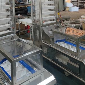 Transportador de cubo transparente Z Elevator con grado alimenticio - Product Image 2