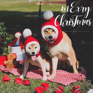 New Design Christmas <strong>Dog</strong> Beanie Hat Eco-Friendly Striped <strong>Pattern</strong> Spring/Winter Warm <strong>Knitted</strong> for New Year Party - Product Image 4