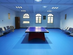 Hiện đại dính chống trượt trong nhà bóng bàn sân thể thao sàn với 3D thiết kế mô hình/PVC Sàn Vinyl thảm - Product Image 2