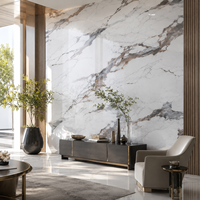 Panneaux muraux en PVC à effet marbre brillant anti-décoloration et à faible entretien pour la décoration intérieure