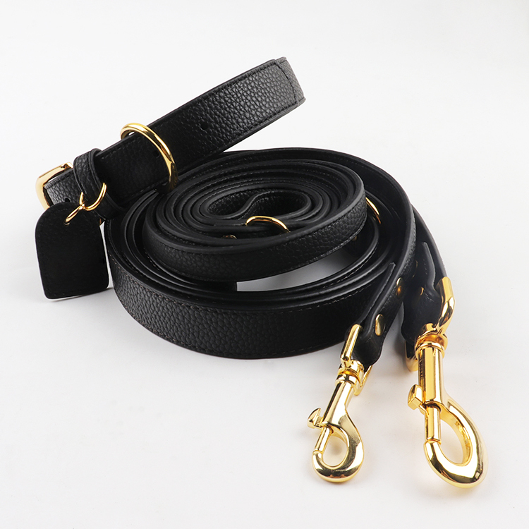 laisse et collier