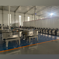 Multifunctionele automatische CNC-machine met dubbele kop voor het snijden van fruit en groenten, commerciële apparatuur voor het snijden, in blokjes zagen en raspen van groenten