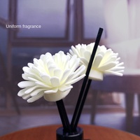 Diffuseur de parfum de style hôtelier, huiles essentielles, usage domestique, parfum d'ambiance longue durée, désodorisant pour toilettes, pièce décorative
