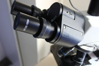 Hot Selling Optical Instrument Biological Digital Microscope Trinocular Microscope with Camera and Display