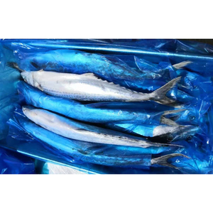 <span class=keywords><strong>Maquereau</strong></span> du Pacifique congelé 100-200g, petits poissons HGT, provenant d'un fournisseur chinois - Product Image 5