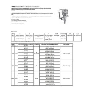 Vanne d'expansion Emerson TARE+ 20HCA/15HCA, tête motorisée en acier inoxydable, 31 bars, capillaire de 3 m pour climatisation, entreposage frigorifique et chauffage - Product Image 5
