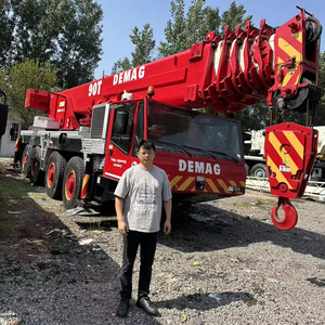 Potente affidabile 90 Ton Demag All-terreno/camion gru per il sollevamento di carichi pesanti e industria edile - Product Image 1