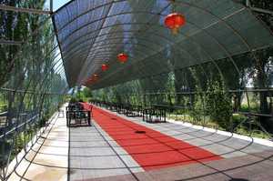 Uv ब्लैक शेड नेट ग्रीनहाउस गार्डन नेटटिंग सन सुरक्षात्मक उत्पाद प्रकार - Product Image 4