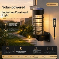 Lampe murale solaire LED transfrontalière à détecteur de mouvement, étanche pour extérieur, style pastoral, pour cour, lampe d'ambiance, lumière décorative pour jardin et pelouse