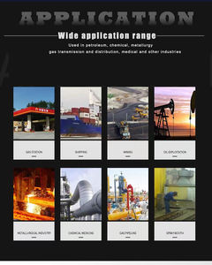 SKZ2050--4-EX yüksek hassasiyetli kızılötesi prensibi taşınabilir yanıcı gaz dedektörü EX dedektörü 10 yıl ömrü - Product Image 6