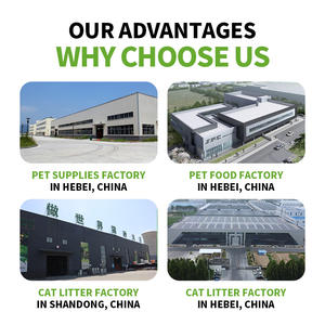 Yousnpet 아레나 파라 가토스 저먼지 포뮬러 프리미엄 활성탄 인스턴트 덩어리 벤토나이트 고양이 쓰레기 모래 - Product Image 3