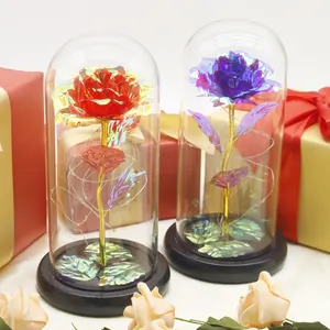 2024 Popular Gold Foil Rose Glass Cover Galaxy Rose With Lights Dome Table Ornaments Gifts Factory Wholesale