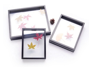 MDF Double Glass <strong>Plant</strong> Specimen Photo Picture <strong>Frame</strong> for Home Decor - Product Image 4