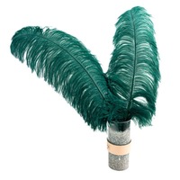 Plumes d'oiseaux colorées de 45-50 cm, d'origine sud-africaine, en véritable plume d'orange, pour décoration de carnaval, grandes plumes blanches pour la confection de chapeaux et la décoration de mariage