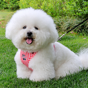 Cá Nhân Con Chó Khai Thác Độn Thời Trang Rắn Đơn Giản Sang Trọng Dễ Dàng Phát Hành Nhựa Khóa Đóng Cửa Làm Lưới Polyester Vải - Product Image 4