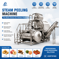 Automatische stoomschilmachine met grote capaciteit, roestvrij staal, fruit- en groenteschiller, CE-gecertificeerd