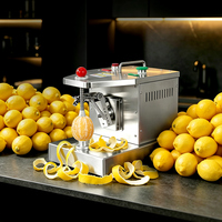 Éplucheur de fruits électrique automatique commercial pour pommes, oranges, pommes de terre, poires, spécial pour les magasins de boissons