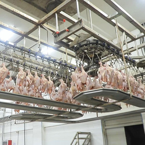 Qingdao Raniche Equipement Abatteuse De Boucherie Poulet - Product Image 3