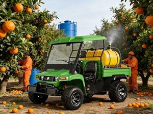Véhicule utilitaire électrique 4 places robuste pour la <span class=keywords><strong>patrouille</strong></span> agricole et de ranch, utilisation tout-terrain OEM - Product Image 3