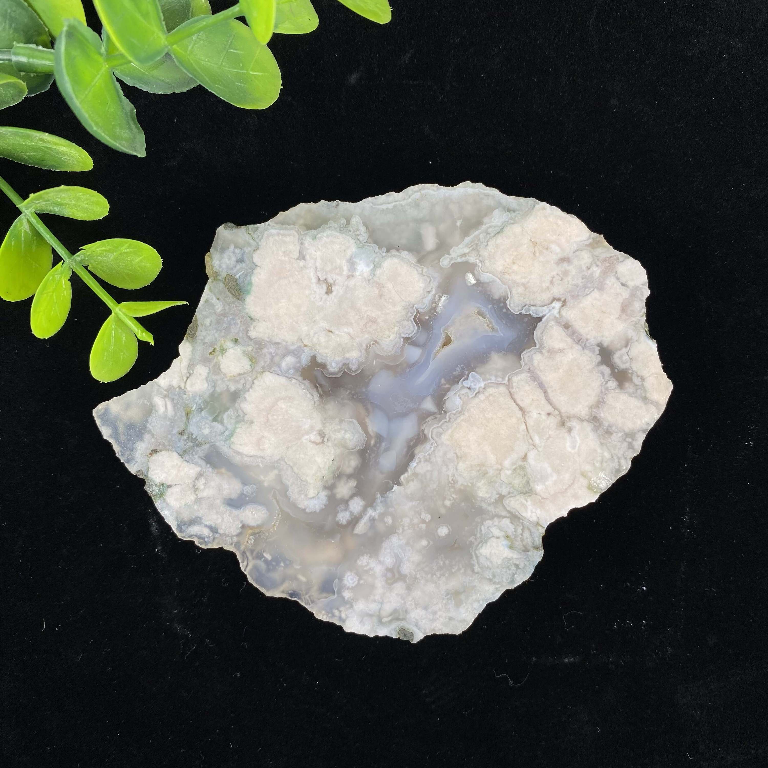 10. Agate fleurie