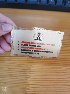 Charizard Rainbow Gold Card Edition Gravure Impression Cartes à collectionner avec socle en métal pour jouer au jeu de cartes - Product Image 3