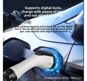 محطة شحن منزلية للسيارات الكهربائية بقوة 7 كيلوواط لسيارات تسلا وبي واي دي، بمدخل 220 فولت، شاحن سريع للمركبات ذات الطاقة الجديدة لسيارات شياوبنغ الكهربائية - Product Image 5