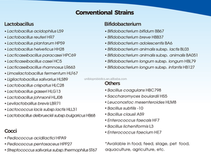 Bifidobacterium Longum YS108R Materia prima en polvo de probióticos de alta potencia - Product Image 4