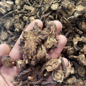 Высококачественное дикое Корневище Notopterygium incisum, сушеные натуральные корнеплоды Notopterygium incisum для травы - Product Image 4