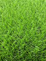 20mm langlebige Pfahl höhe Kunstrasen Teppich feuerfeste Rolle Paket für Wohn Outdoor Garten Landschaft Gras