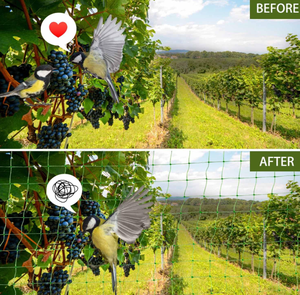 Filet <span class=keywords><strong>anti</strong></span>-malvaises en maille BOP pour le contrôle des oiseaux, protection double contre les parasites pour pelouse, potager et parterres de fleurs - Product Image 4