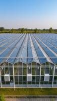 Invernaderos Tropicales de Policarbonato PC y Sistemas de Cultivo Hidropónico Comercial para Tomate, Lechuga y Fresa