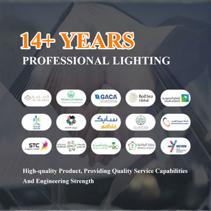 OASISLUX Professional LED <strong>Street</strong> <strong>Light</strong> IP65 100W 150lm/W for Roadway Lamp Highway Urban Lighting Projects - Product Image 5