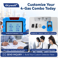 Détecteur de gaz portable 4 en 1, analyseur multi-gaz EX O2 CO H2S, IP65, anti-explosion, alarme de fuite portative pour la sécurité industrielle