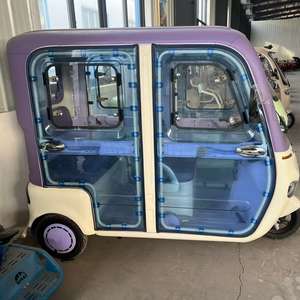 Triciclo de Pasajeros de 1200W de la Serie Romántica Más Vendida - Product Image 1