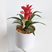 Plantes artificielles succulentes, petits bonsaïs, Dracaena Torch, Ananas, en pot, 19 cm, PE, écologiques, réalistes, durables, pour la maison
