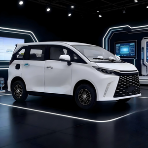 SUV Elettrico di Lusso Leggero, 5 Porte, 5 Posti, Velocità Massima 45km/h, Capacità di Carico 1000kg, per Uso Domestico, Veicolo a Bassa Velocità per Adulti - Product Image 6